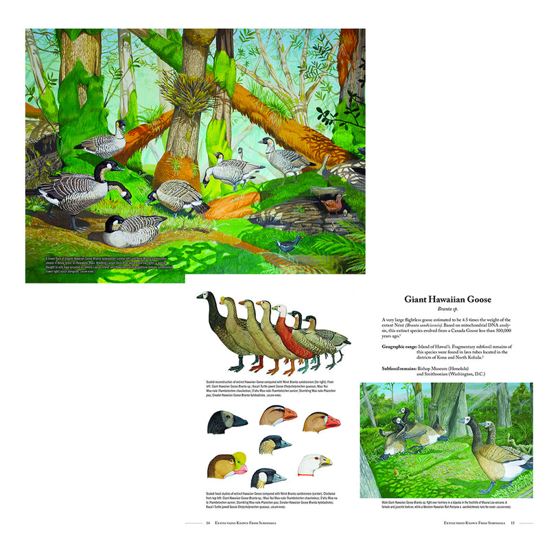 Extinct Birds of Hawaiʻi New Edition Hawaii Pacific Parks Association