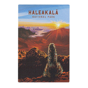 Metal Magnet: Haleakalā National Park Silversword