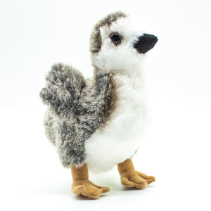 Plush: Makamae the Nēnē Gosling