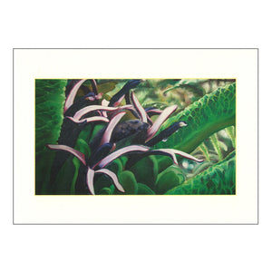 Notecard Set: Rare Hawaiian Birds and Plants