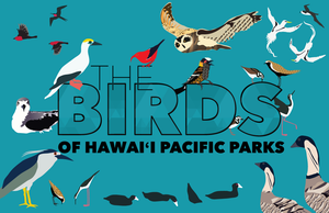 Birds of Hawaiʻi Pacific Parks