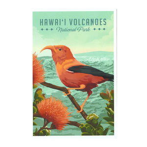 Art Print: ʻIʻiwi