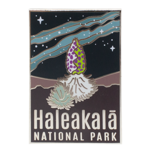 Lapel Pin: Haleakalā Night Sky