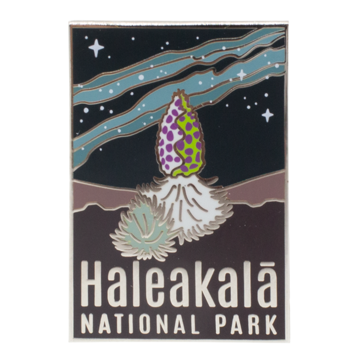 Lapel Pin: Haleakalā Night Sky