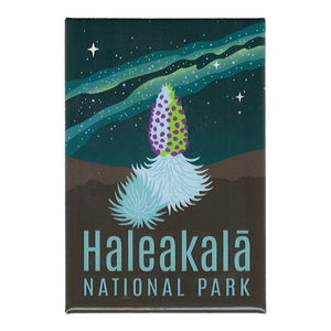 Magnet: Haleakalā Night Sky