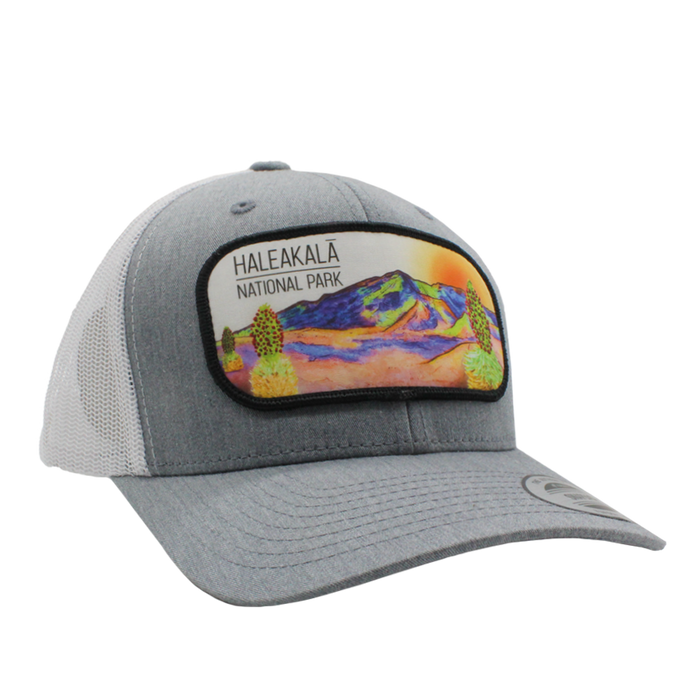 Patagonia hawaii hat sales