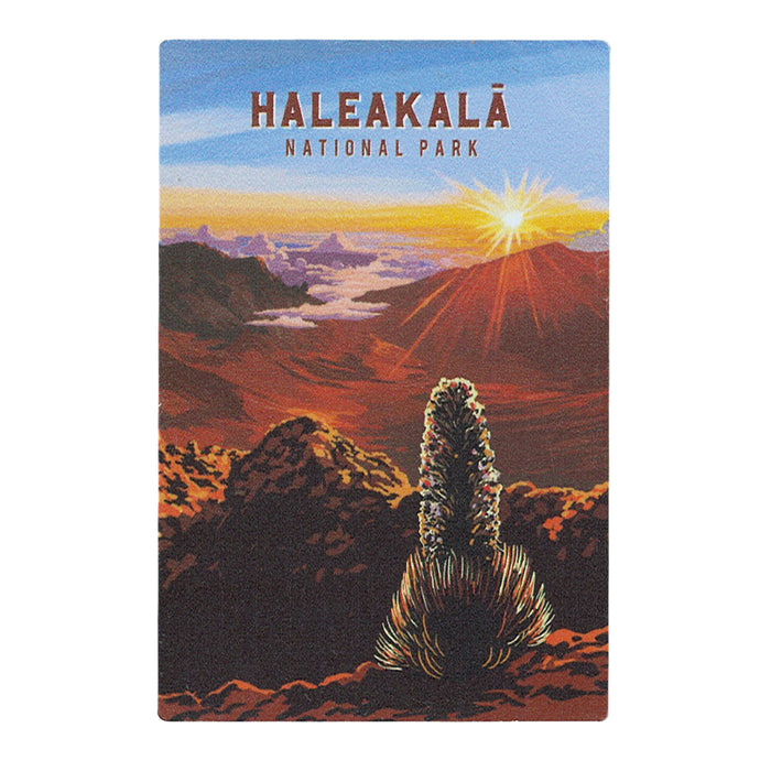Metal Magnet: Haleakalā National Park Summit Sunrise