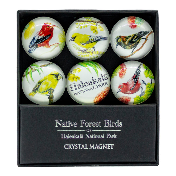 Crystal Magnet Set: Native Forest Birds of Haleakalā National Park