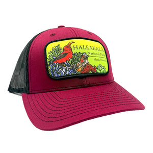 Trucker Hat: Birds of Haleakalā National Park
