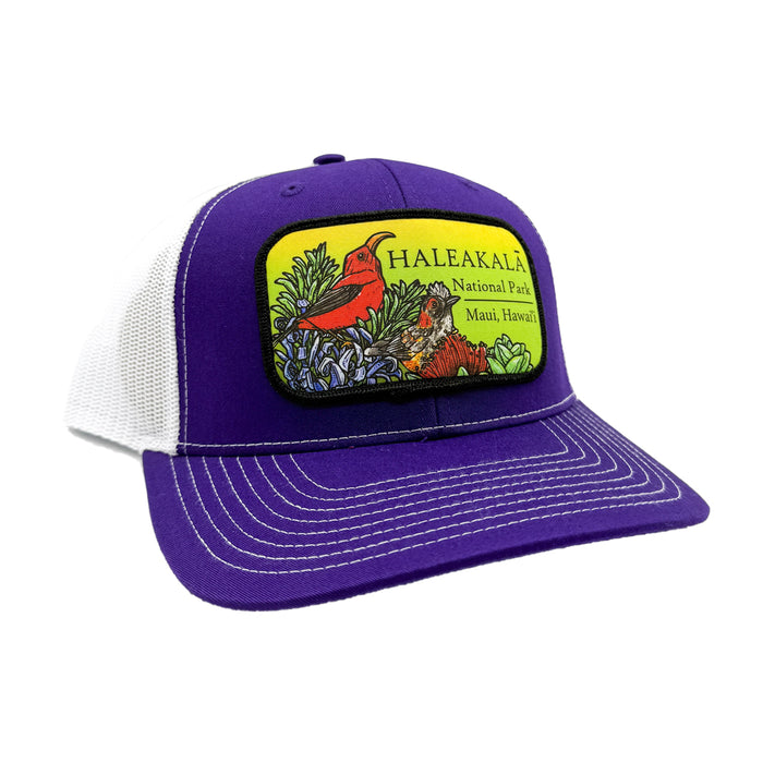 Trucker Hat: Birds of Haleakalā National Park