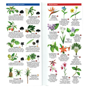 Pocket Guide: Hawaii Trees and Wildflowers