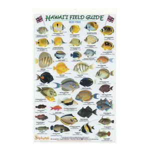 Image is of front of fish card with artistic depictions of about 40 Hawaiʻi reef fish.
