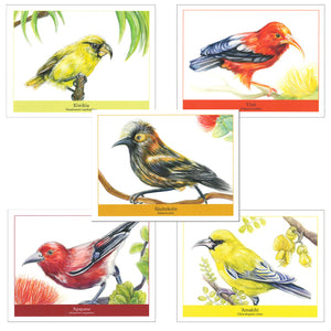 Notecard Set: Native Forest Birds of Haleakalā National Park