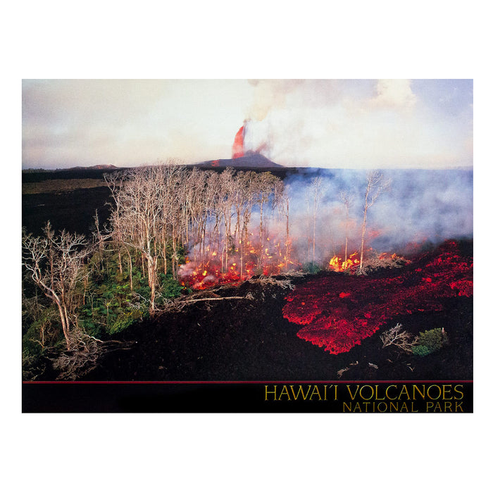 Poster: Puʻuʻōʻō Eruption