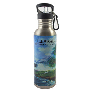 Stainless Steel Water Bottle: Haleakalā Mural