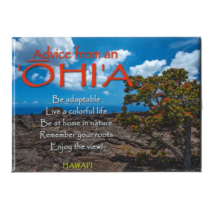Magnet: Advice from an ʻŌhiʻa