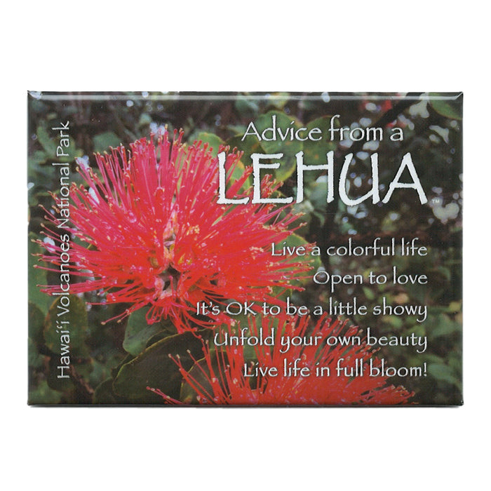 Magnet: Advice From a Lehua
