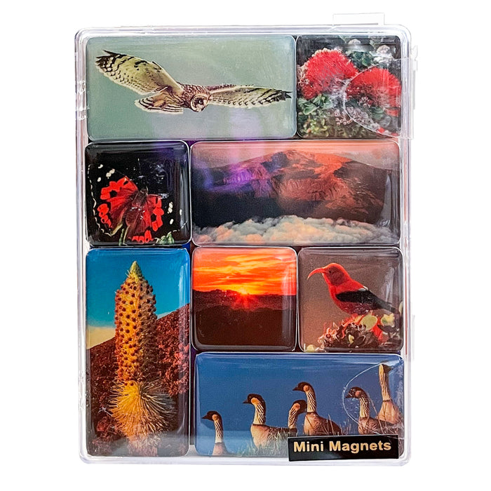 Mini Magnets: Haleakalā National Park Summit